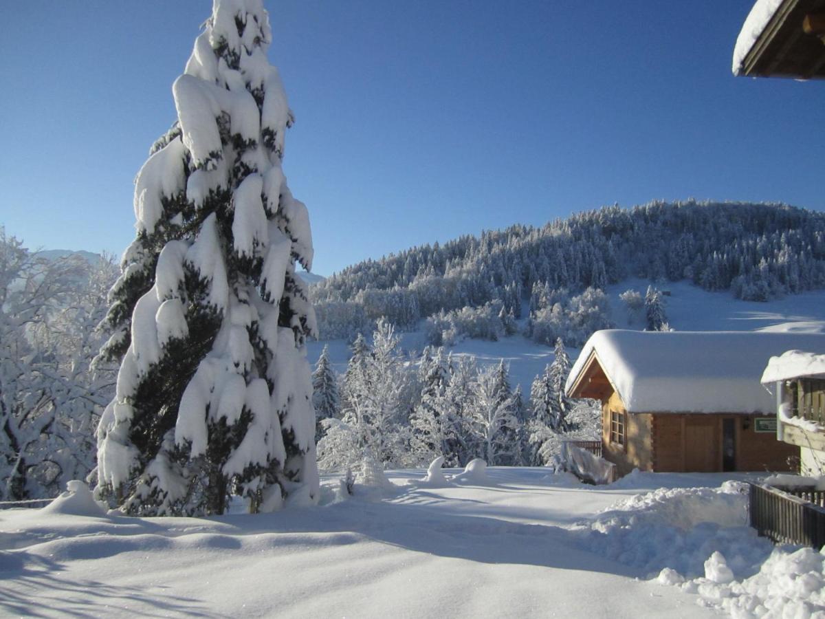 Vila Bauernhof Bilgeri Hittisau Exteriér fotografie