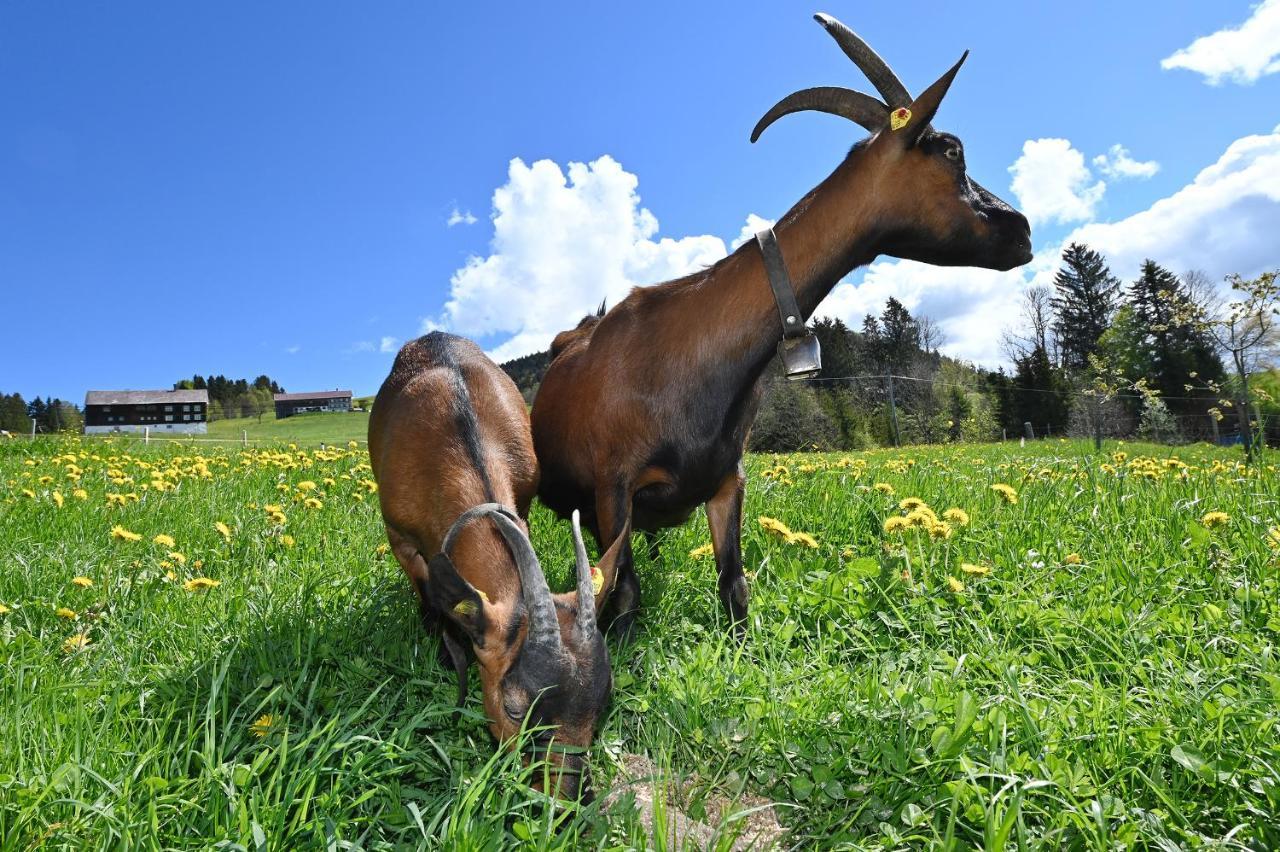 Vila Bauernhof Bilgeri Hittisau Exteriér fotografie