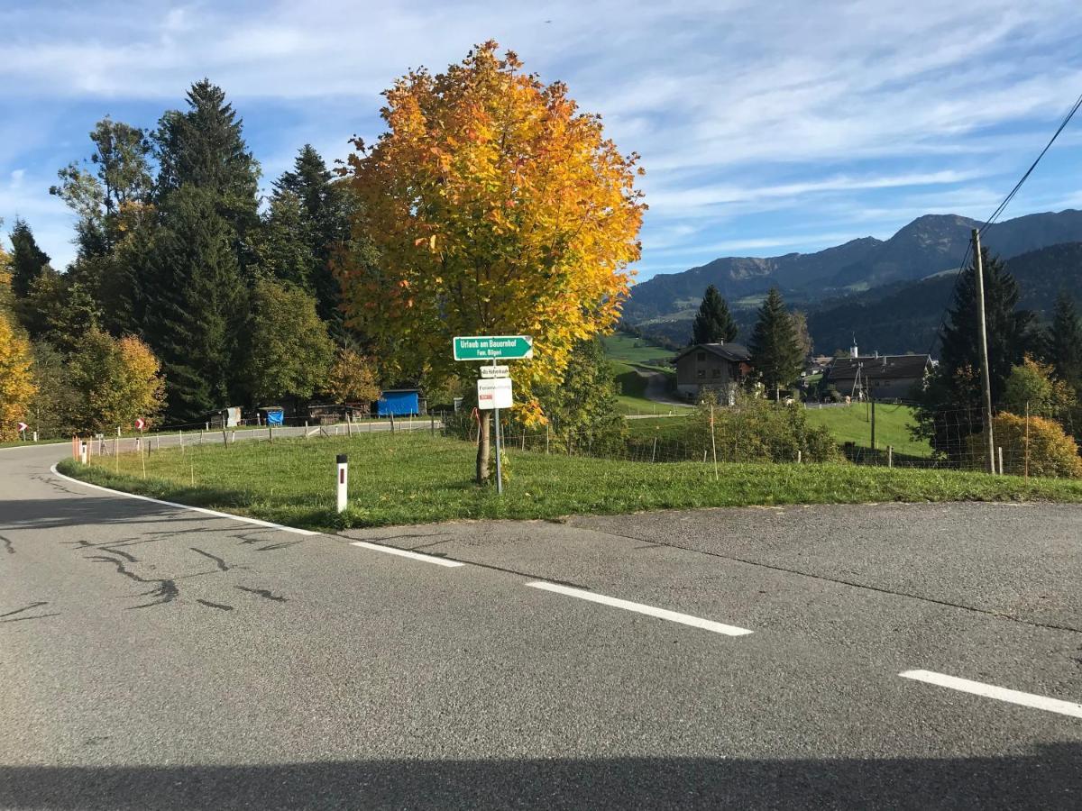 Vila Bauernhof Bilgeri Hittisau Exteriér fotografie