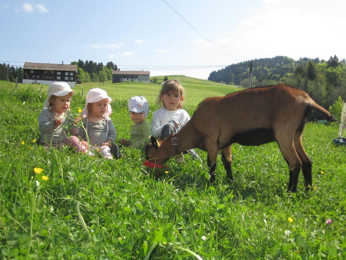 Vila Bauernhof Bilgeri Hittisau Exteriér fotografie