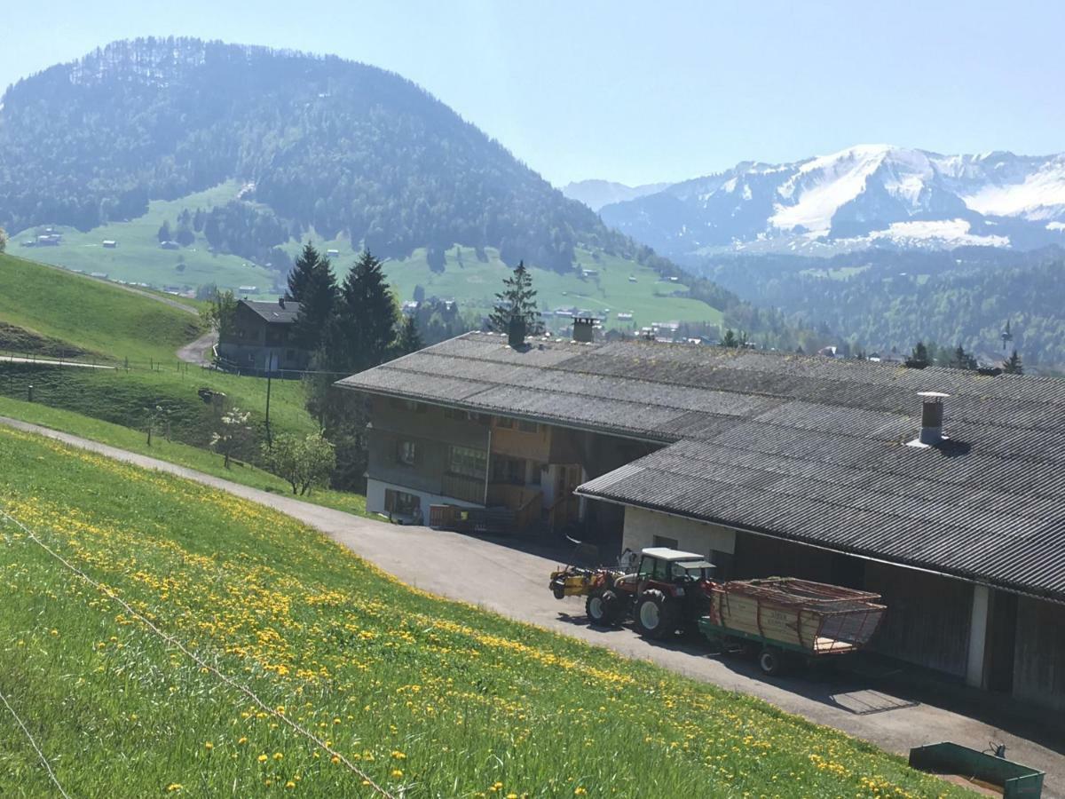 Vila Bauernhof Bilgeri Hittisau Exteriér fotografie