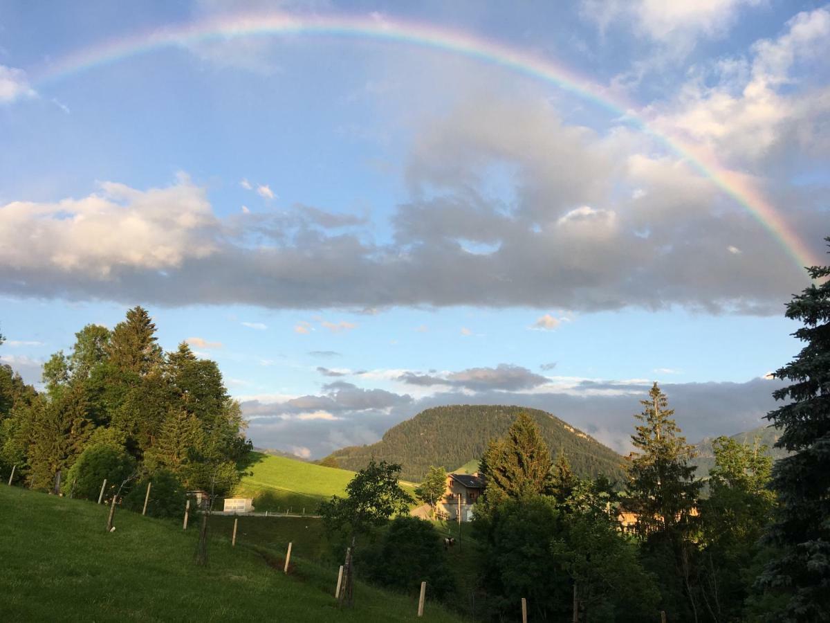 Vila Bauernhof Bilgeri Hittisau Exteriér fotografie